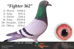 Fighter 362