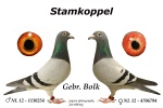 Stamkoppel Geb. Bolk